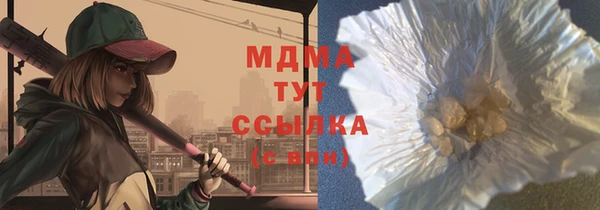хмурый Аркадак