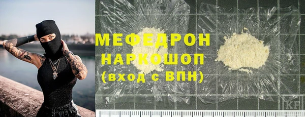 хмурый Аркадак
