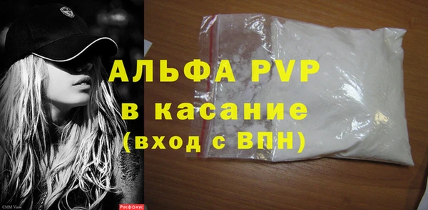 хмурый Аркадак