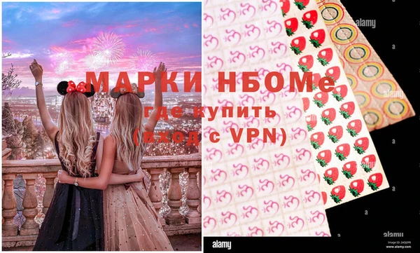 шишки Балахна