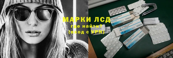 хмурый Аркадак