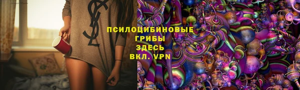 хмурый Аркадак